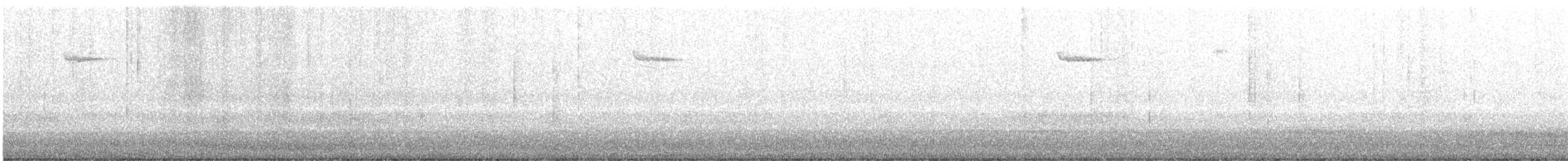 Amerikabaumläufer - ML386673271