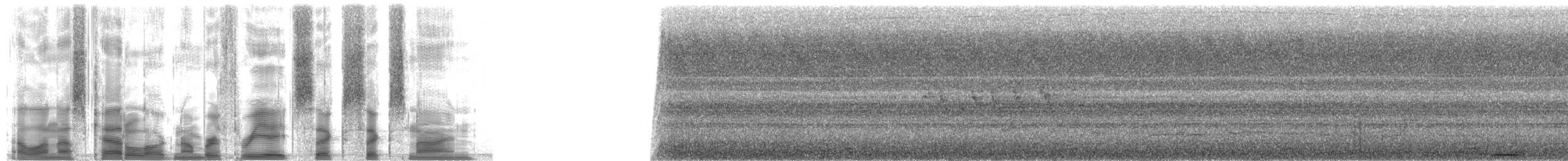 holub ametystový - ML38669