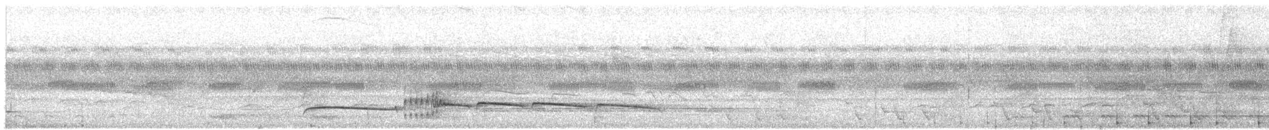 Dusky-tailed Flatbill - ML386738031