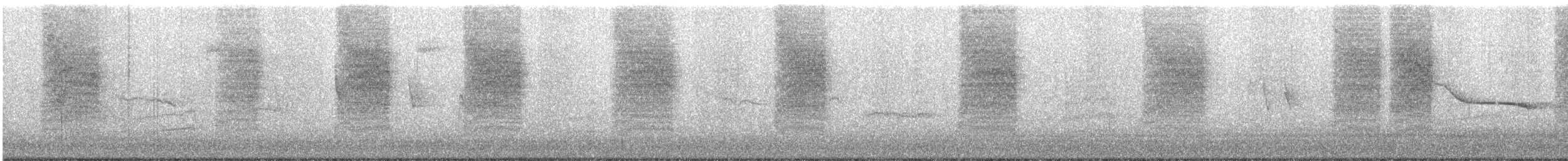 Troglodyte de Bewick - ML386761391