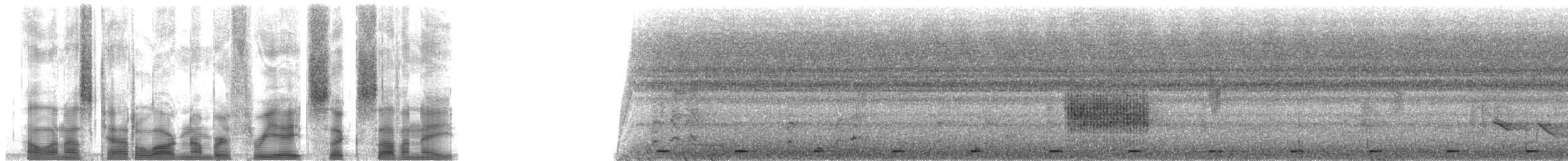 nakenkinnedderkoppjeger - ML38678