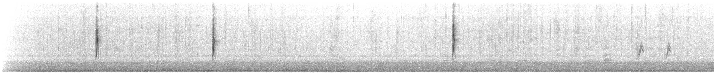 Пісняр-лісовик жовтогузий (підвид auduboni) - ML386797241