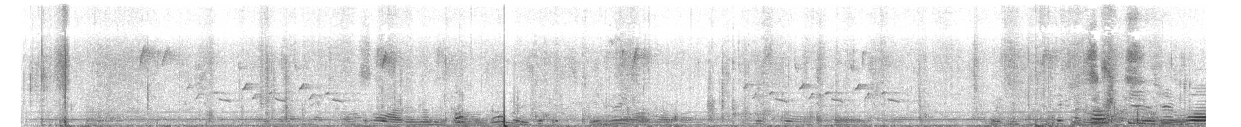 Carolina Wren - ML386807251