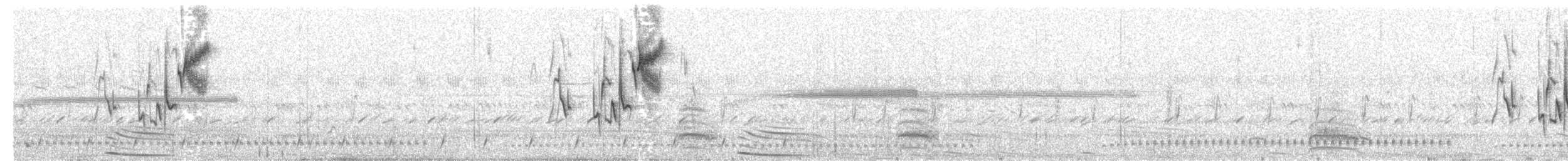 Пампасник великий (підвид platensis) - ML386877781
