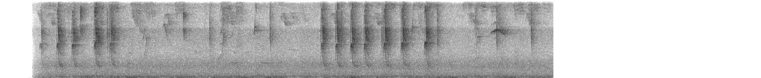 Ermite tacheté - ML386892211