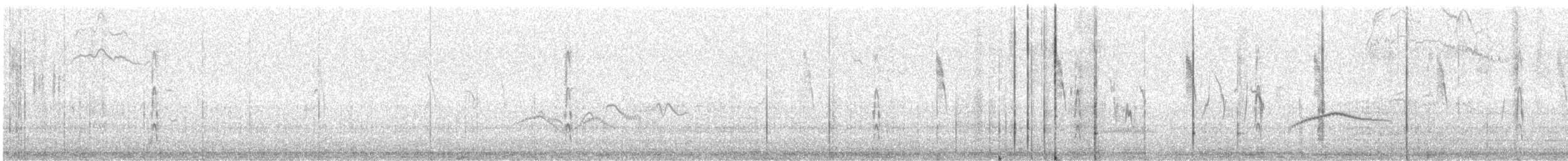 Great Spotted Woodpecker - ML386894031