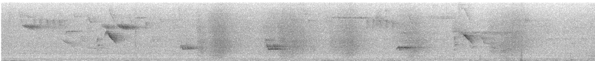 Striolated Manakin - ML386899461
