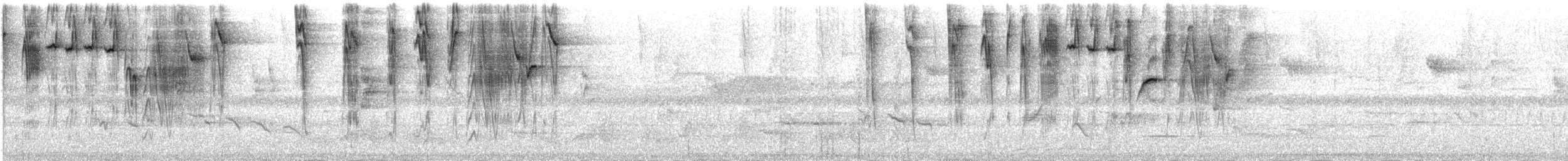 Zuckervogel - ML386940691