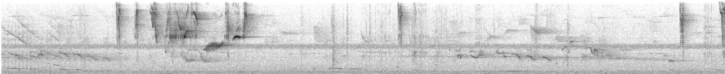 Zuckervogel - ML386940701