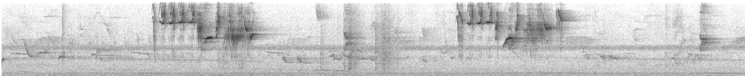 Zuckervogel - ML386940731