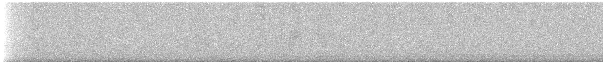 Kısa Kuyruklu Karıncaardıcı - ML386974161