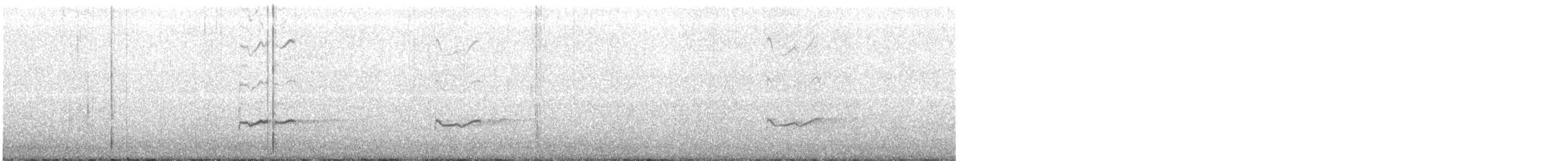 Gray-tailed Tattler - ML386992881