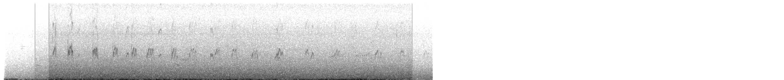 Snowy Plover (Northern) - ML387059141