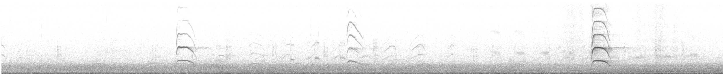 ボナパルトカモメ - ML387084871