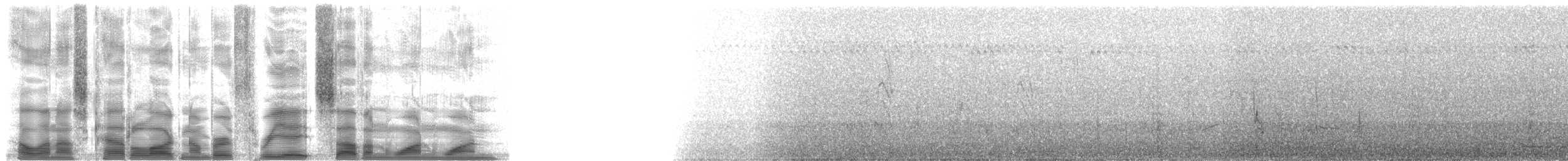 Kara Taşkuşu - ML38711