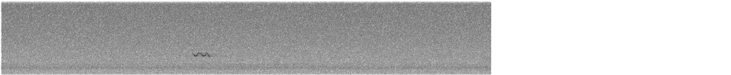 Хиазатын тодорхойгүй зүйл - ML387143811