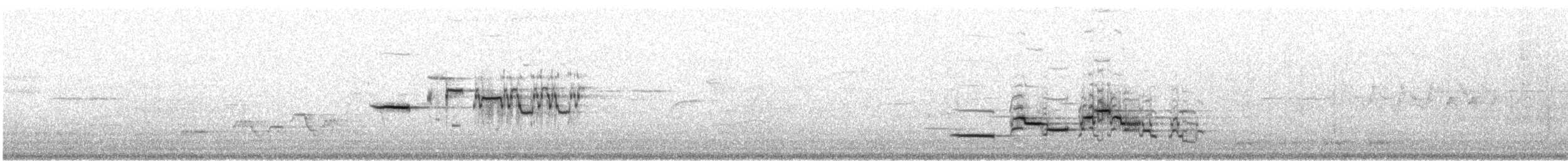 Дрізд-короткодзьоб плямистоволий - ML387163431