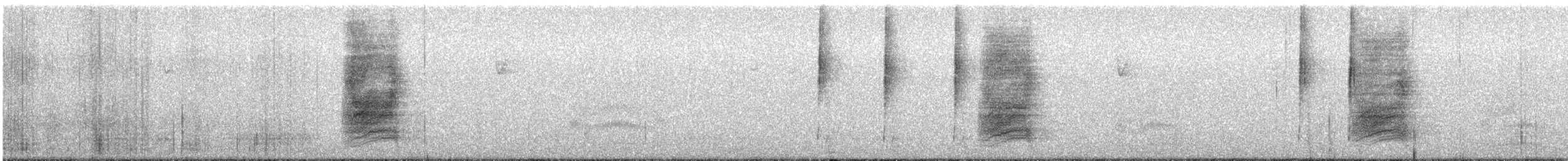 Geai de Woodhouse - ML387208581