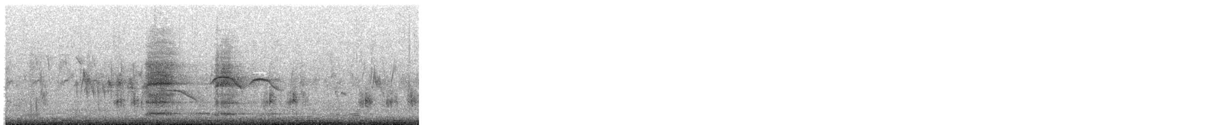 Зэрлэг гургуул - ML387270141