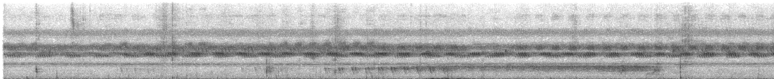 Large-tailed Nightjar - ML387275761