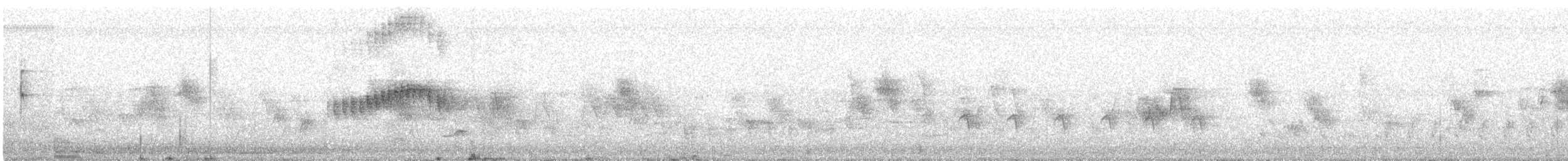 Tropical Kingbird - ML387292561