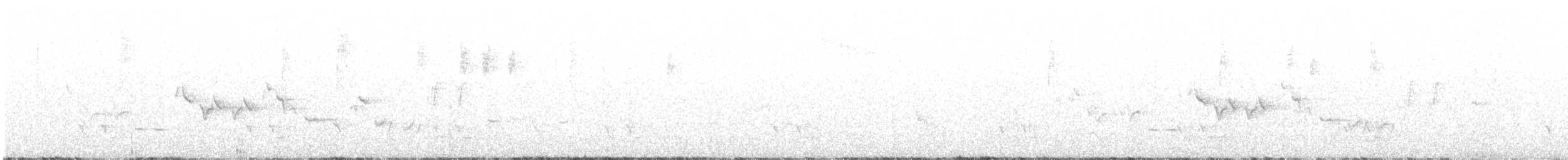 Séricorne timide - ML387362941