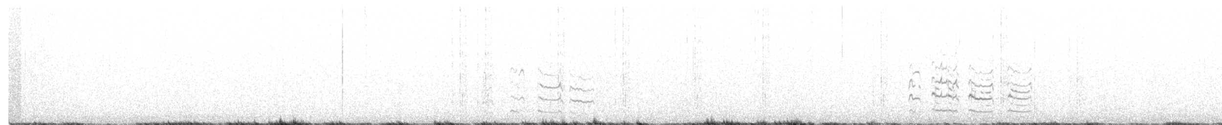 Чайка білогорла - ML387367451