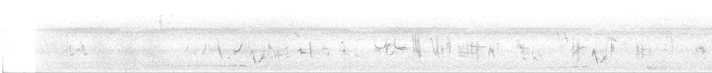 Japanese/Manchurian Bush Warbler - ML38739021