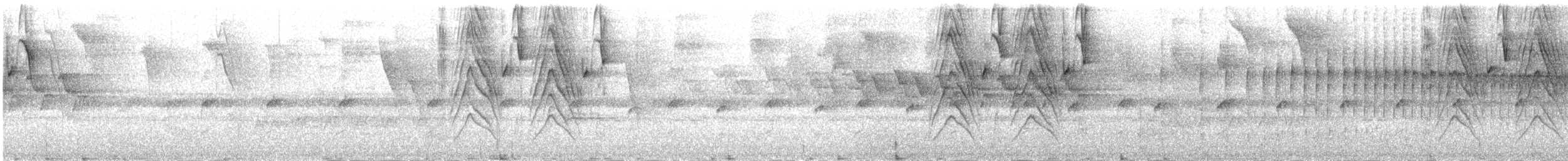 Zuckervogel - ML387393071