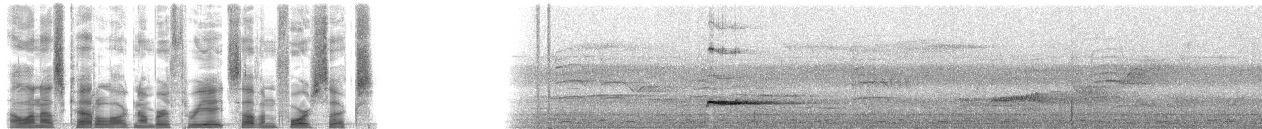 Пестрогрудый зимородок - ML38746
