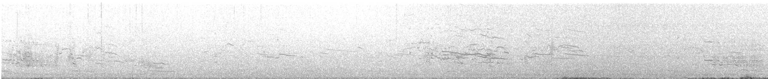 American Herring Gull - ML387685921