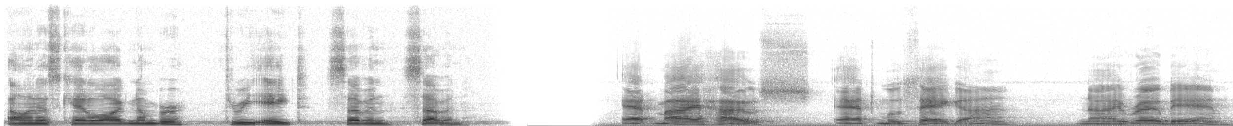 holub slézovoprsý - ML3877