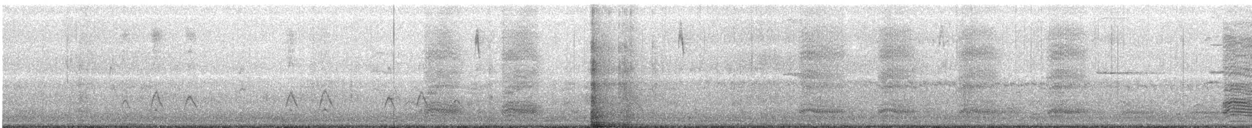 Fischione americano - ML387805131