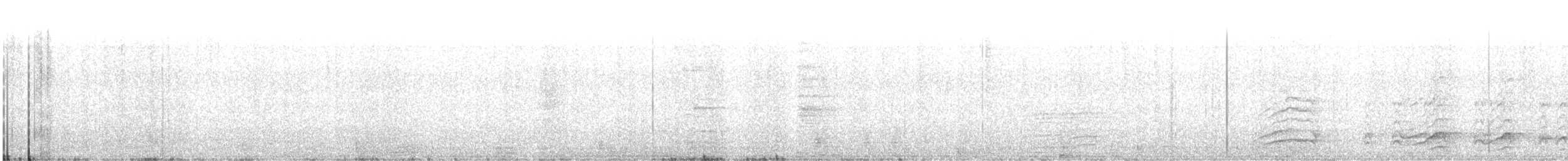 Malabar Gray Hornbill - ML387853441