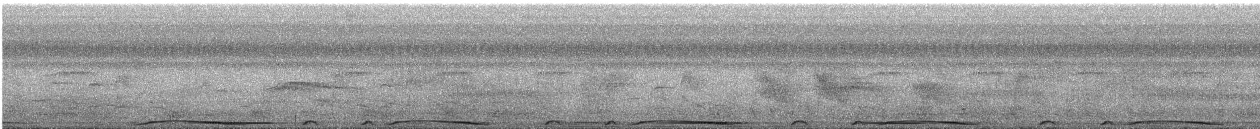 holub neotropický - ML387898171