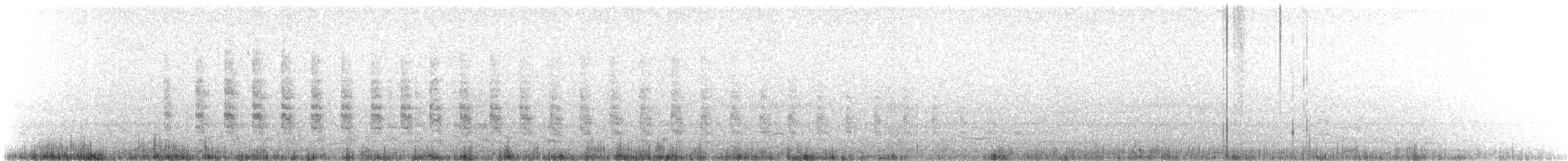 Râle tapageur (saturatus/scottii) - ML387933151