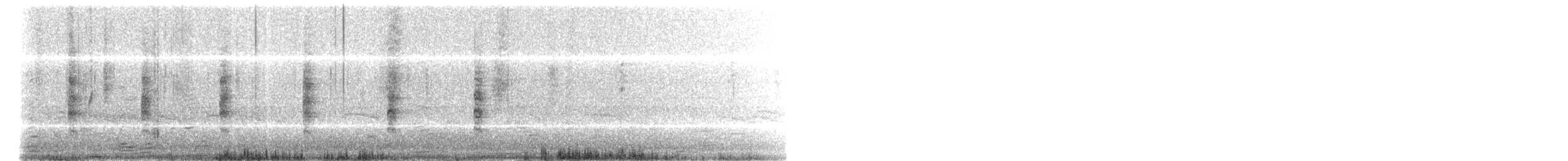 Râle tapageur (saturatus/scottii) - ML387933261