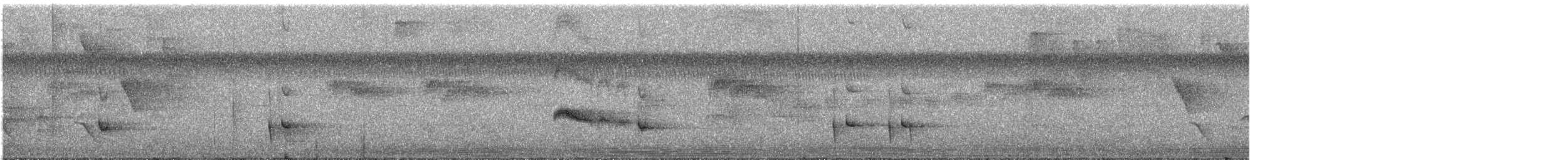 Schwarzschopf-Todityrann - ML387976421