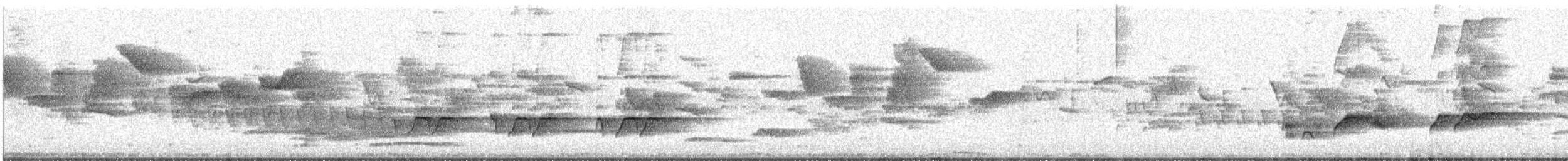 Дууч хөөндэй - ML388044141
