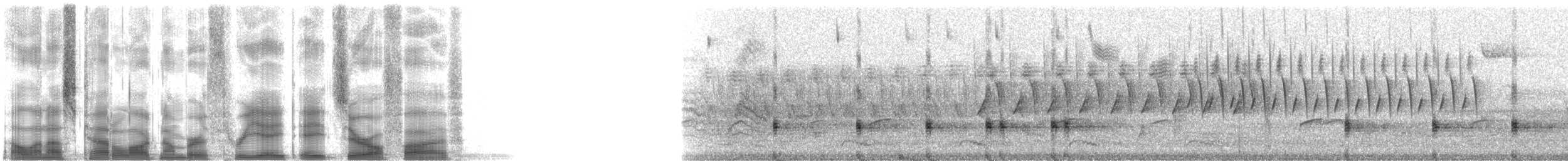 Virginia Rail - ML38805