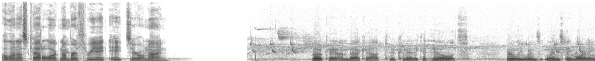 Northern Cardinal - ML38809