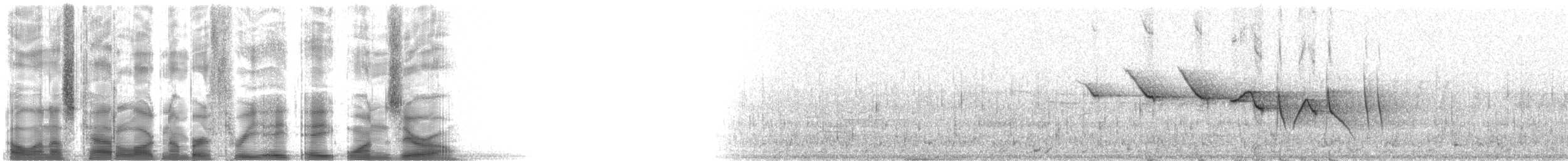 Louisiana Waterthrush - ML38810