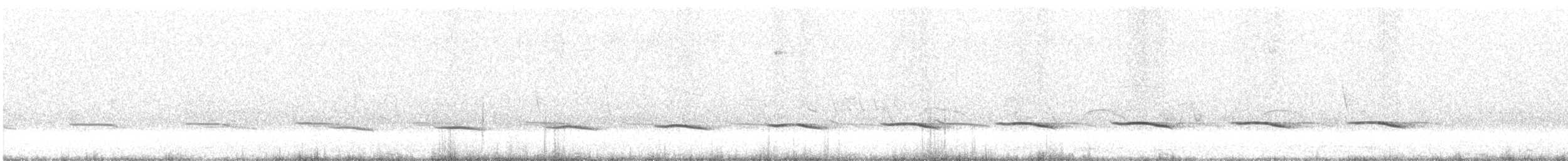 Tinamou sauvageon - ML388162151