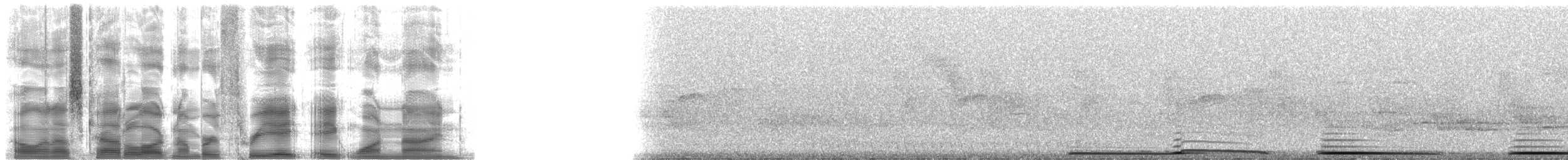 ナゲキバト - ML38819