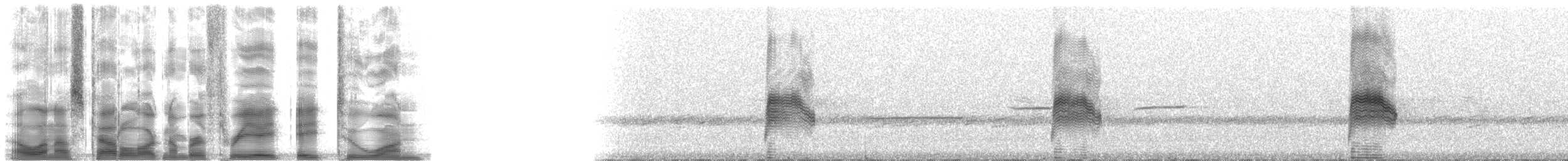 Common Nighthawk - ML38821