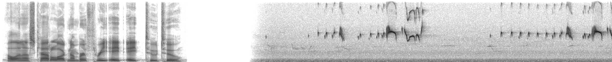 Eastern Kingbird - ML38822