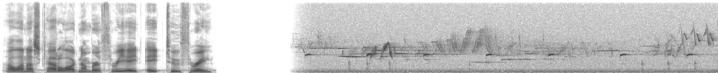 American Bittern - ML38823