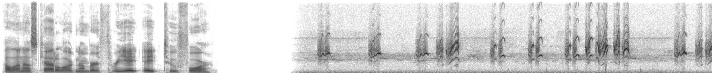 家燕(erythrogaster) - ML38824