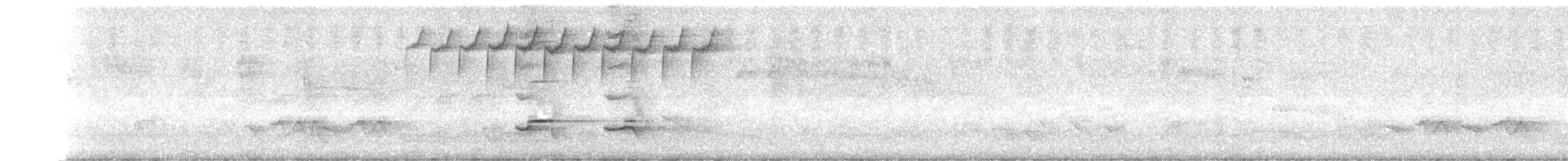 White-browed Woodpecker - ML388249331