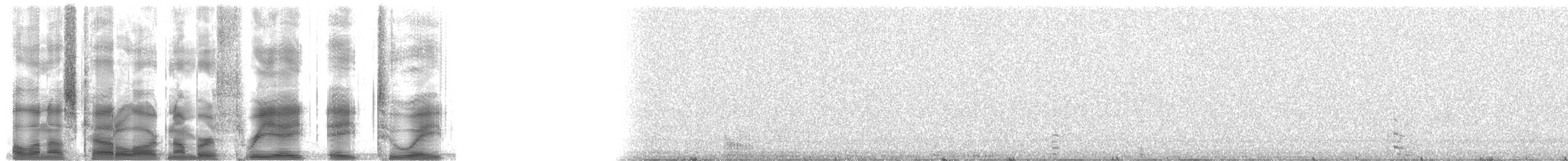 美國蟾蜍 - ML38828